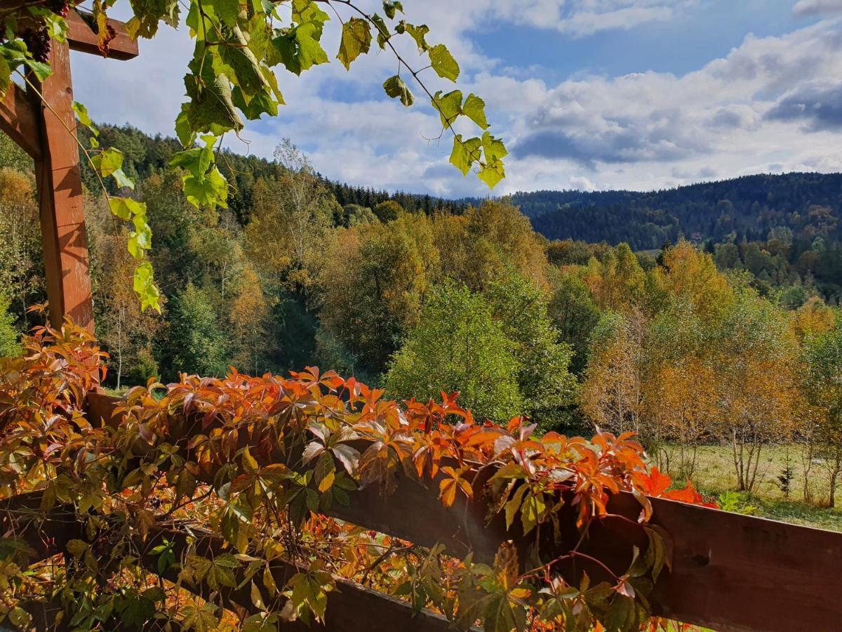 Ksiezycowa Dolina Appartement Lądek-Zdrój Buitenkant foto