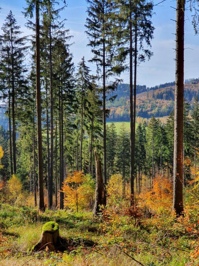 Ksiezycowa Dolina Appartement Lądek-Zdrój Buitenkant foto