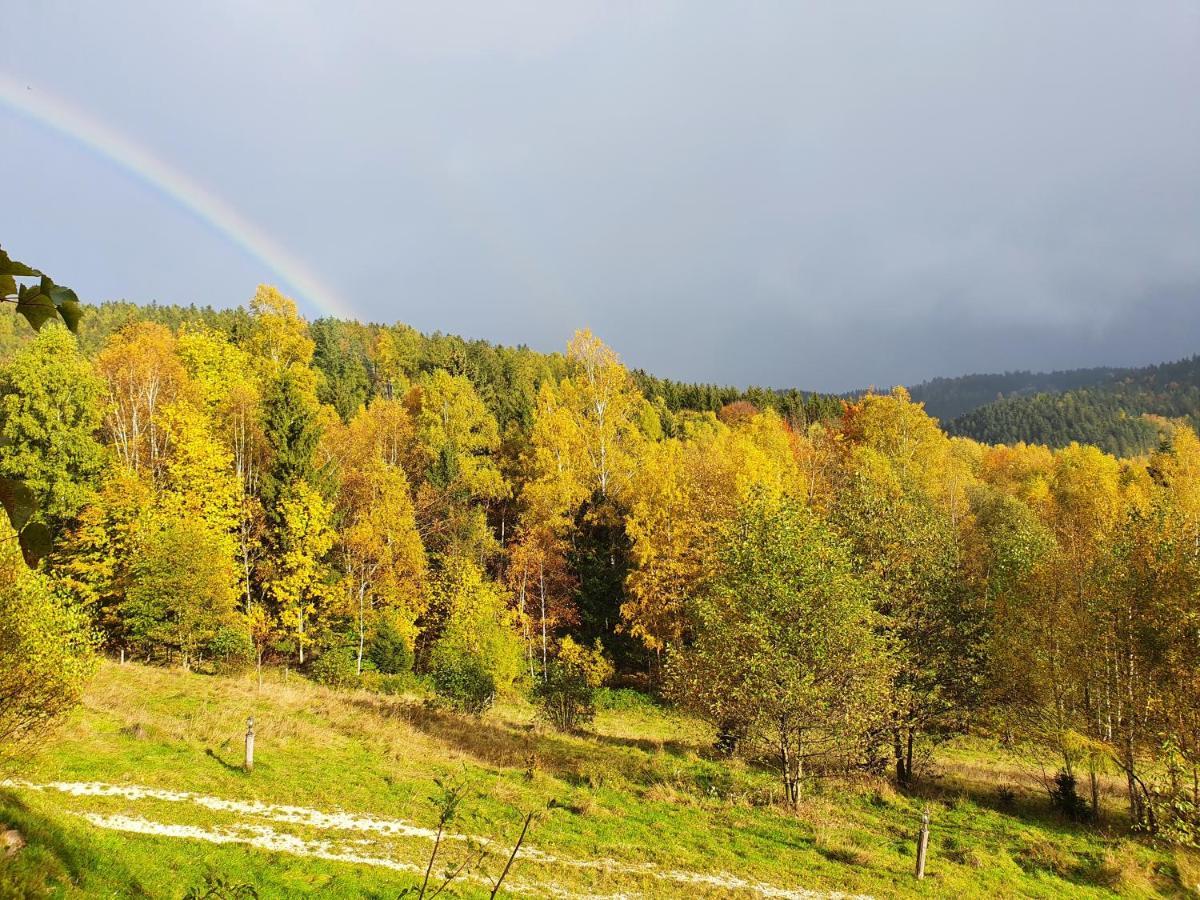 Ksiezycowa Dolina Appartement Lądek-Zdrój Buitenkant foto