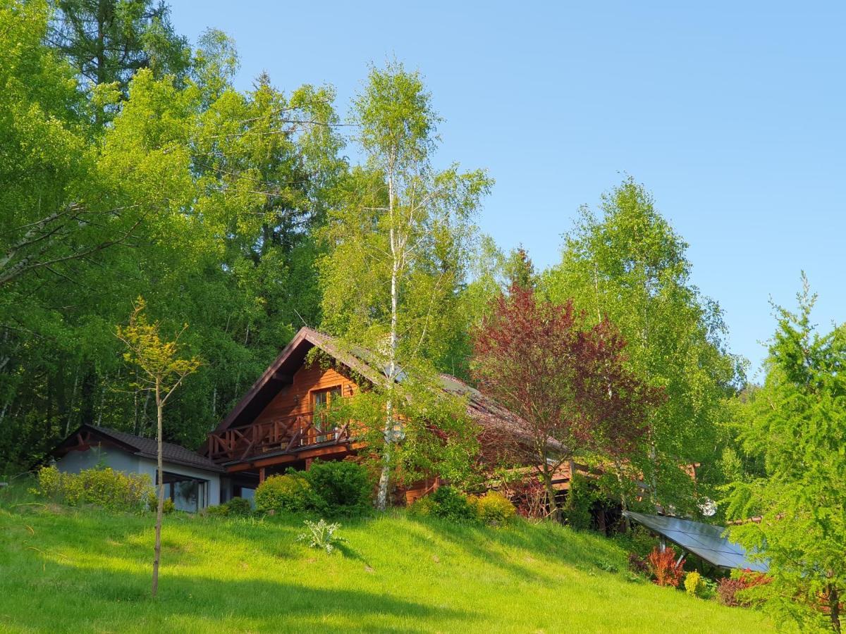Ksiezycowa Dolina Appartement Lądek-Zdrój Buitenkant foto